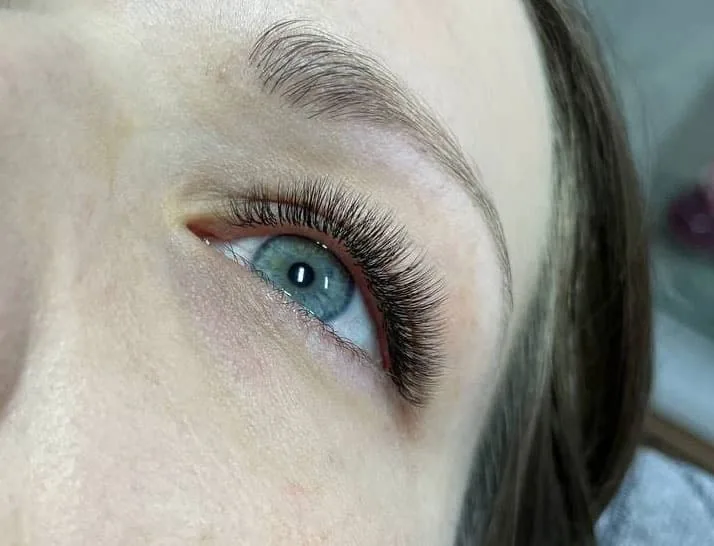 Nahaufnahme eines Auges mit Wimpernextensions, Motiv des individuellen Lash-Coachings